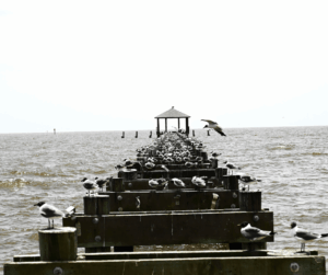 Biloxi Pier