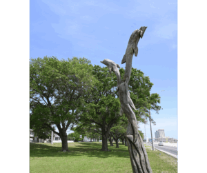 Biloxi Salvaged Dolphins