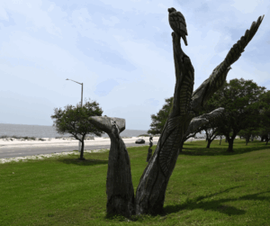 Biloxi Salvaged Tree 3