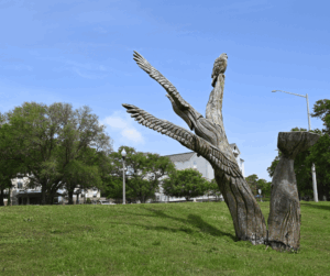 Biloxi Salvaged Tree 1