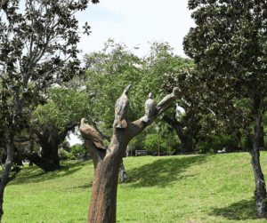 Biloxi Salvaged Tree 6